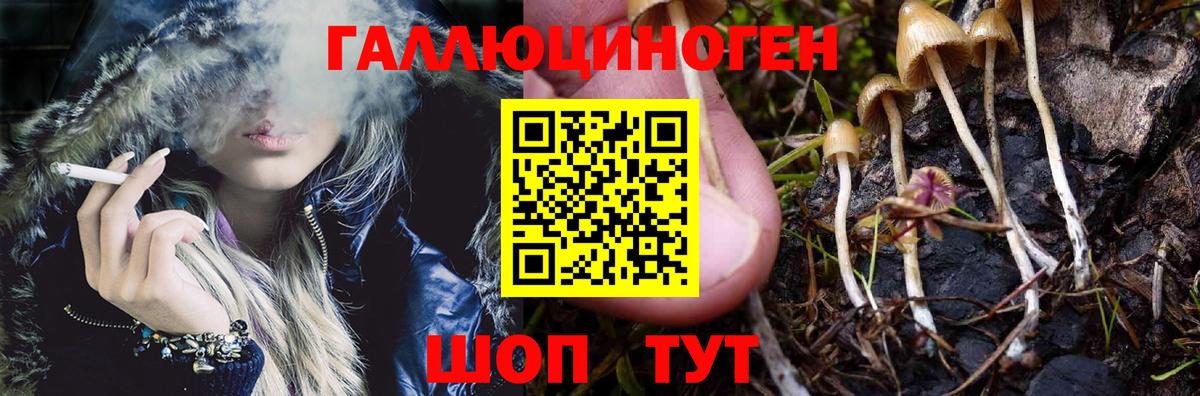 Галлюциногенные грибы прущие грибы Новошахтинск